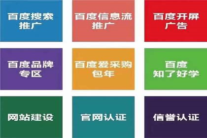 百度推广服务费案例：揭秘企业成功转型之路